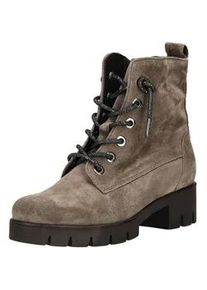 Schn&uuml;rstiefelette Gabor "Gabor Stiefelette Veloursleder", Damen, Gr. 40, braun, grau, Veloursleder, Schuhe Schn&uuml;rstiefelette