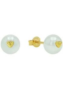 Paar Ohrstecker Amor "Herzen", gelbgoldfarben, wei&szlig;, Ohrringe, Damen, 7mm, Perlen Silber 925 (Sterlingsilber), Perlen, Silber 925 (Sterlingsilber), mit Muschelkernperle