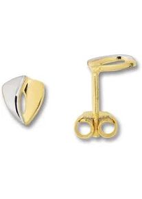 Paar Ohrh&auml;nger ONE ELEMENT "Ohrringe Ohrstecker aus 333 Gelbgold", gold, Ohrringe, Damen, Damen, Gelbgold 333 Gold, Gelbgold 333, Gold, Formsch&ouml;n & ausgewogen &ndash; dezente Anmutung mit Stil