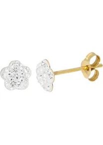 Paar Ohrstecker Firetti "Schmuck Geschenk Gold 375 Ohrschmuck Ohrringe Blume", gelbgoldfarben, kristallwei&szlig;, kristallwei&szlig;, Ohrringe, Damen, 5mm, Gelbgold 375, mit Kristall