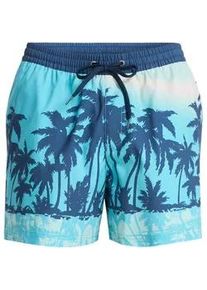 Boardshorts Quiksilver "Everyday Printed Volley 15", Herren, Gr. XL, aqua thermotropics, Obermaterial: 100% Microfaser;, Hosen
