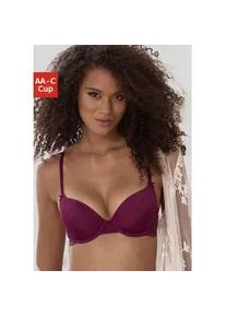 Schalen-BH Nuance, Damen, Gr. 80, Cup AA, lila (cassis), Spitze, Obermaterial: 85% Polyamid, 15% Elasthan, BHs Schalen-BH, im R&uuml;cken aus Spitze, Cups aus Microtouch, Dessous