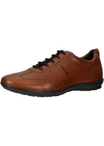 Schn&uuml;rschuh Geox "Geox Halbschuhe Leder", Herren, Gr. 41, braun (mittelbraun), Leder, Schuhe Schn&uuml;rschuh