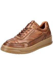 Pantofola d'Oro Sneaker PANTOFOLA D ́ORO "Pantofola d'Oro Sneaker Leder", Herren, Gr. 43, braun (cognac), Leder, Schuhe Sneaker