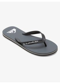 Zehentrenner Quiksilver "MOLOKAI CORE", Herren, Gr. 47, grau, Synthetik, Schuhe Zehentrenner, Sommerschuhe