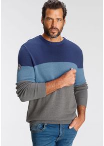 MAN'S WORLD Rundhalspullover MAN'S WORLD "Bis Gr&ouml;&szlig;e 5 XL", Herren, Gr. XL (56/58), grau (blau, hellblau, grau), Feinstrick, Obermaterial: 50% Baumwolle, 50% Polyacryl, normal, Rundhals, Rippstrickb&uuml;ndchen, Pullover Rundhalspullover, mit Blockstreifen, Topseller