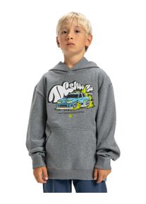 Hoodie DC Shoes "Tire Fire", Jungen, Gr. 8(125-130cm), grau (dunkelgrau heather), Obermaterial: 55% Walkfrottier, 25% Walkfrottier, 20% Microfaser;, Sweatshirts Hoodie