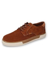 Sneaker Camel Active, Herren, Gr. 41, braun (cognac), Veloursleder, Schuhe Sneaker, Schn&uuml;rschuh, Freizeitschuh, Business Sneaker mit Schn&uuml;rung