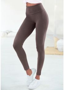 Leggings Lascana, Damen, Gr. 44/46, N-Gr, grau (taupe), Single Jersey, Obermaterial: 95% Baumwolle, 5% Elasthan, unifarben, Basic, Basic lang, Hosen Leggings, mit breitem B&uuml;ndchen, Topseller