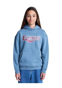 Hoodie Element "Curb Care", Jungen, Gr. 14(155-164cm), blau mirage, Obermaterial: 55% Walkfrottier, 25% Walkfrottier, 20% Microfaser;, Sweatshirts Hoodie
