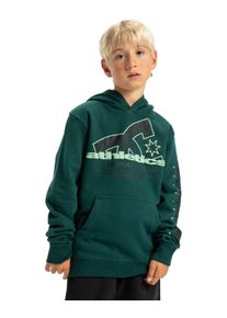 Hoodie DC Shoes "Slathletic", Jungen, Gr. 10(140-148cm), rosa (ponderosa pine), Obermaterial: 55% Walkfrottier, 25% Walkfrottier, 20% Microfaser;, Sweatshirts Hoodie
