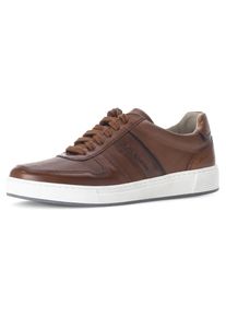 Sneaker Pius Gabor, Herren, Gr. 8 (42), braun (cognac), Glattleder, Schuhe Sneaker, Freizeitschuh, Halbschuh, Schn&uuml;rer mit Kontrastbes&auml;tze, Weite G