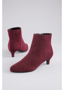 Stiefelette ANISTON SHOES, Damen, Gr. 39, bordeaux, Textil, Veloursleder, Schuhe Stiefelette, Rei&szlig;verschluss-Ankelboots, Trichterabsatz - NEUE KOLLEKTION