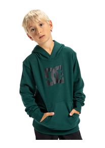 Hoodie DC Shoes "DC Star", Jungen, Gr. 14(155-164cm), rosa (ponderosa pine), Obermaterial: 55% Walkfrottier, 25% Walkfrottier, 20% Microfaser;, Sweatshirts Hoodie