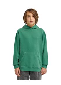 Kapuzensweatshirt Element "Cornell 3.0", Jungen, Gr. 14(155-164cm), fir, Obermaterial: 50% Walkfrottier, 30% Walkfrottier, 20% Microfaser;, Sweatshirts Kapuzensweatshirt