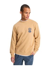 Sweatshirt Quiksilver "Salt Water Graphic", Herren, Gr. M, khaki, Obermaterial: 55% Walkfrottier, 25% Walkfrottier, 20% Microfaser;, Sweatshirts Sweatshirt