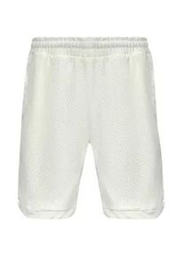Shorts DROPSIZE "Dropsize Herren Dropsize V2 Mesh Shorts", Herren, Gr. L, US-Gr&ouml;&szlig;en, cream, 100% Polyester, normal, Hosen Shorts