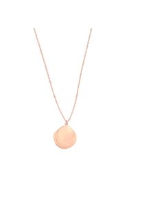 Kette mit Anh&auml;nger Liebeskind Berlin "Schmuck Geschenk Edelstahl Halskette The Organic Treasure", rosa (ros&eacute;goldfarben), Halsketten, Damen, Edelstahl, L: 50 B: 2mm, Kette mit Anh&auml;nger, B:2mm