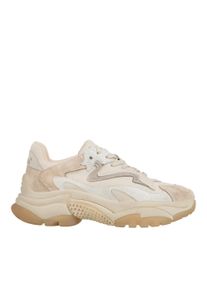 Ash Low-Top Sneaker - Addict03 - Gr. 36 (EU) - in Beige - f&uuml;r Damen