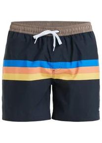 Boardshorts Quiksilver "Everyday Straight 15", Herren, Gr. L, schwarz (schwarz retro stripe), 100% Polyester, Hosen