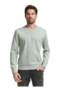 Sweatshirt Tom Tailor, Herren, Gr. L, soft grauish gr&uuml;n, Sweatware, Obermaterial: 70% Baumwolle, 30% Polyester, unifarben, regular fit normal, Rundhals, Rippb&uuml;ndchen, Sweatshirts Sweatshirt, mit Logo Stickerei