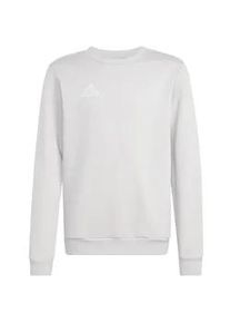 Adidas Entrada 26 Sweatshirt Kinder JZ6551 - team light grey/white 128