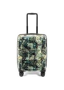 EPIC Crate EX Wildlife Trolley S 55cm 4 Rollen GoodVIBES