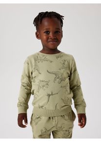 Sweatshirt name it "NMMVARON f&uuml;r Jungen mit Alloverprint und Rippb&uuml;ndchen", Jungen, Gr. 122 (128), gr&uuml;n (tea), Sweatware, Obermaterial: 100% Baumwolle, bedruckt, normal normal, Rundhals, Rippb&uuml;ndchen, Sweatshirts Sweatshirt, bedruckt, casual, regular fit, Baumwolle, Rundhals
