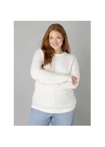 Strickpullover Base Level Curvy "Yanara", Damen, Gr. 46, beige (ecru), Strick, Obermaterial: 43% Nylon, 26% Polyacryl, 13% Alpaka, 13% Wolle, 5% Elasthan, unifarben, gerade h&uuml;ftbedeckend, Rundhals, B&uuml;ndchen, Pullover Strickpullover, mit Wolle und Elasthan