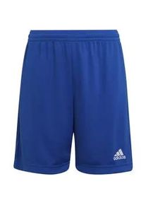 Adidas Entrada 22 Fu&szlig;ball Shorts Kinder royblu 116