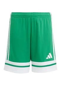 Adidas Squadra 25 Fu&szlig;ballshorts Kinder JN7484 - team green/white 140
