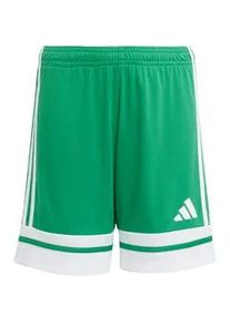 Adidas Squadra 25 Fu&szlig;ballshorts Kinder JN7484 - team green/white 164