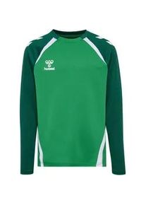 Hummel hmlLEAD 2.0 Crew Sweatshirt Kinder 6327 - jelly bean/evergreen 140