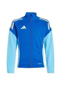 Adidas Tiro 25 Competition Training Sweatshirt Kinder JI8928 - team royal blue/blue burst 140