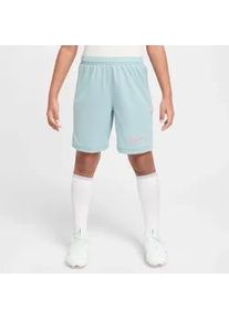 Nike Academy 25 Dri-FIT Shorts Kinder 395 - ocean cube/ocean cube/hyper pink M (137-147 cm)