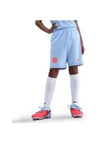 Nike Erling Haaland Dri-FIT Academy 25 Shorts Kinder 425 - royal tint/royal tint/bright crimson M (137-147 cm)