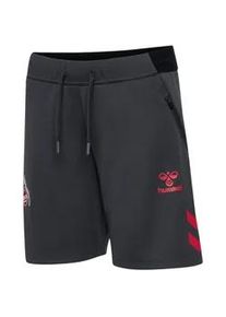 Hummel 1. FC K&ouml;ln Travelshorts 2025/26 Kinder 1525 - asphalt 164
