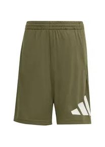 Adidas Train Essentials Big Logo Trainingsshorts Kinder KB2866 - olive strata/white 140