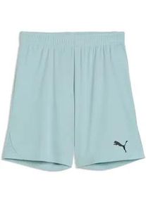 Puma teamGOAL Shorts Kinder 41 - modern mint/Puma black 140