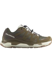 Sneaker Salomon "XC ROAM GORE-TEX", Herren, Gr. 45, braun (coyote braun, wren, vanilla ice), Synthetik, Textil, Schuhe Sneaker, wasserdicht