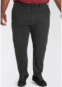 LEVI'S&reg; PLUS Chinohose LEVI'S PLUS "Chino XX STD TAPERED CHINO B&T", Herren, Gr. 46, L&auml;nge 34, schwarz, Obermaterial: 98% Baumwolle, 2% Elasthan, gerade, unten schmal lang, Hosen Chinohose, Sommerhose