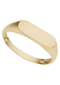 Goldring Firetti "Schmuck Geschenk Gold 333 Siegel-Optik" Gr. 16, gold (gelbgoldfarben), Fingerringe, Damen, 16, Gelbgold 333, 2mm, Goldring