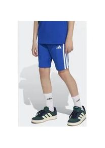 Shorts Adidas SPORTSWEAR "J 3S KN SH 210", Jungen, Gr. 176, N-Gr, blau (royal blau, wei&szlig;), Obermaterial: 100% Baumwolle, Hosen Shorts, sportlicher Stil, f&uuml;r Kinder, aus Baumwolle, atmungsaktiv
