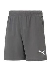 Puma teamRISE Shorts Kinder smoked pearl/Puma white 140