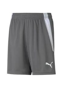 Puma teamLIGA Shorts Kinder smoked pearl/Puma white 116