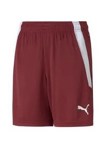 Puma teamLIGA Shorts Kinder cordovan/Puma white 116