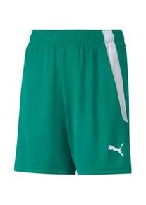Puma teamLIGA Shorts Kinder pepper green/Puma white 140