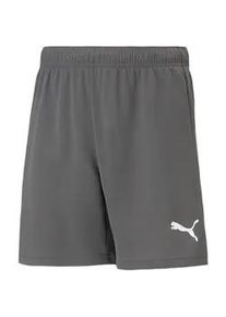 Puma teamRISE Shorts Kinder smoked pearl/Puma white 164