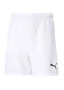 Puma teamRISE Shorts Kinder Puma white/Puma black 152