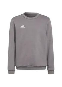 Adidas Entrada 22 Sweatshirt Kinder H57477 - team grey four 164